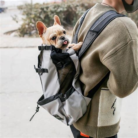 best french bulldog backpack carrier.